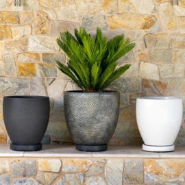 Plant Glider dark gray - 30 cm/90 kg